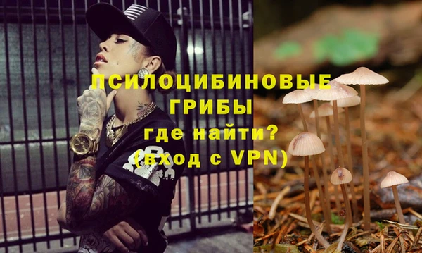 мет Балахна