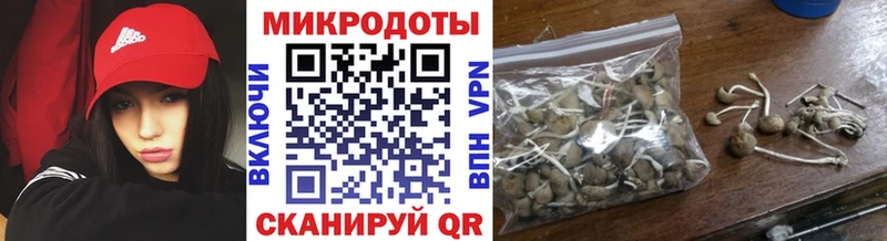 Псилоцибиновые грибы Cubensis  это клад  Нерюнгри  mega зеркало 