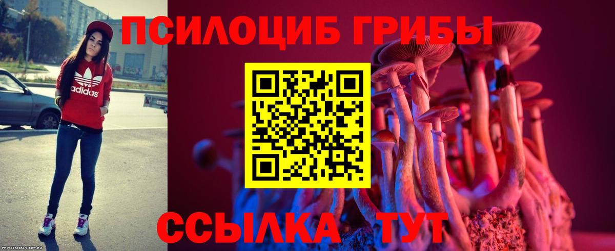 Псилоцибиновые грибы Psilocybe  Вход с VPN  Нерюнгри  Галлюциногенные грибы мицелий 